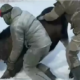 Убийство лосихи