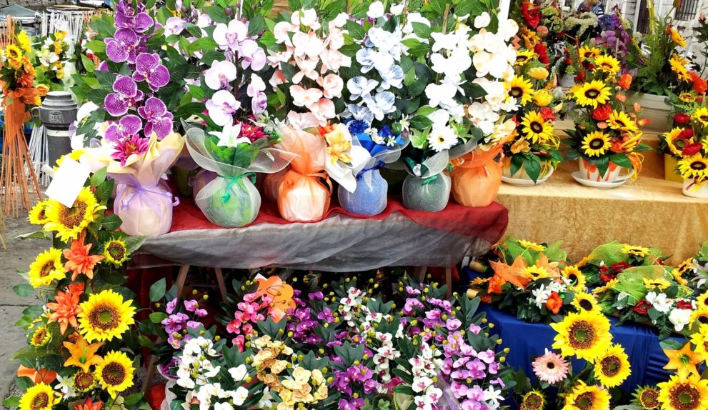 цветы растения магазин