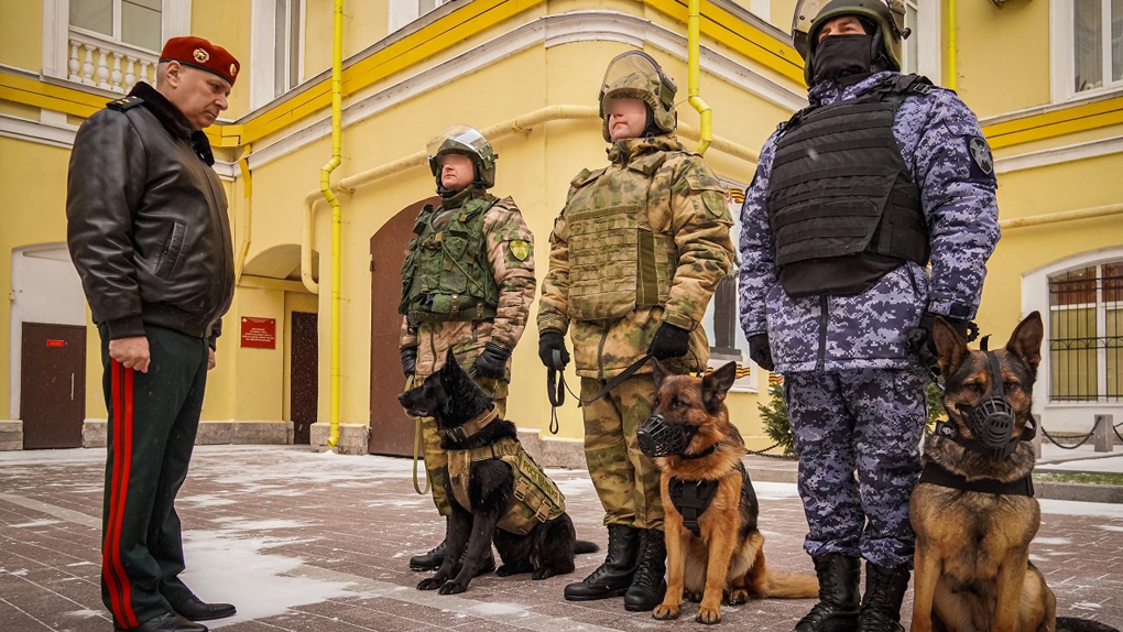 Кинологи Кинологи