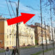 Липы