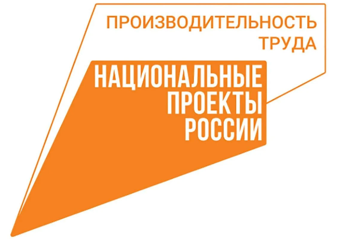 Нацпроект Производительность труда Нацпроект Производительность труда