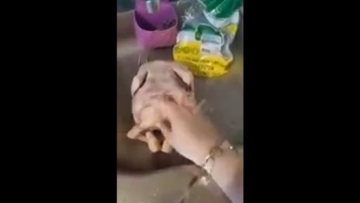 приосколье мутант