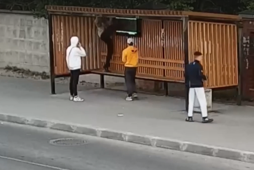 Вандалы Вандалы