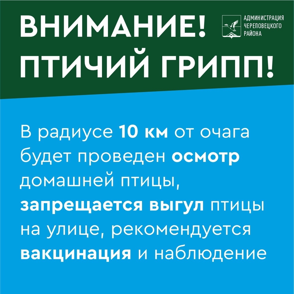 «Ограничения»