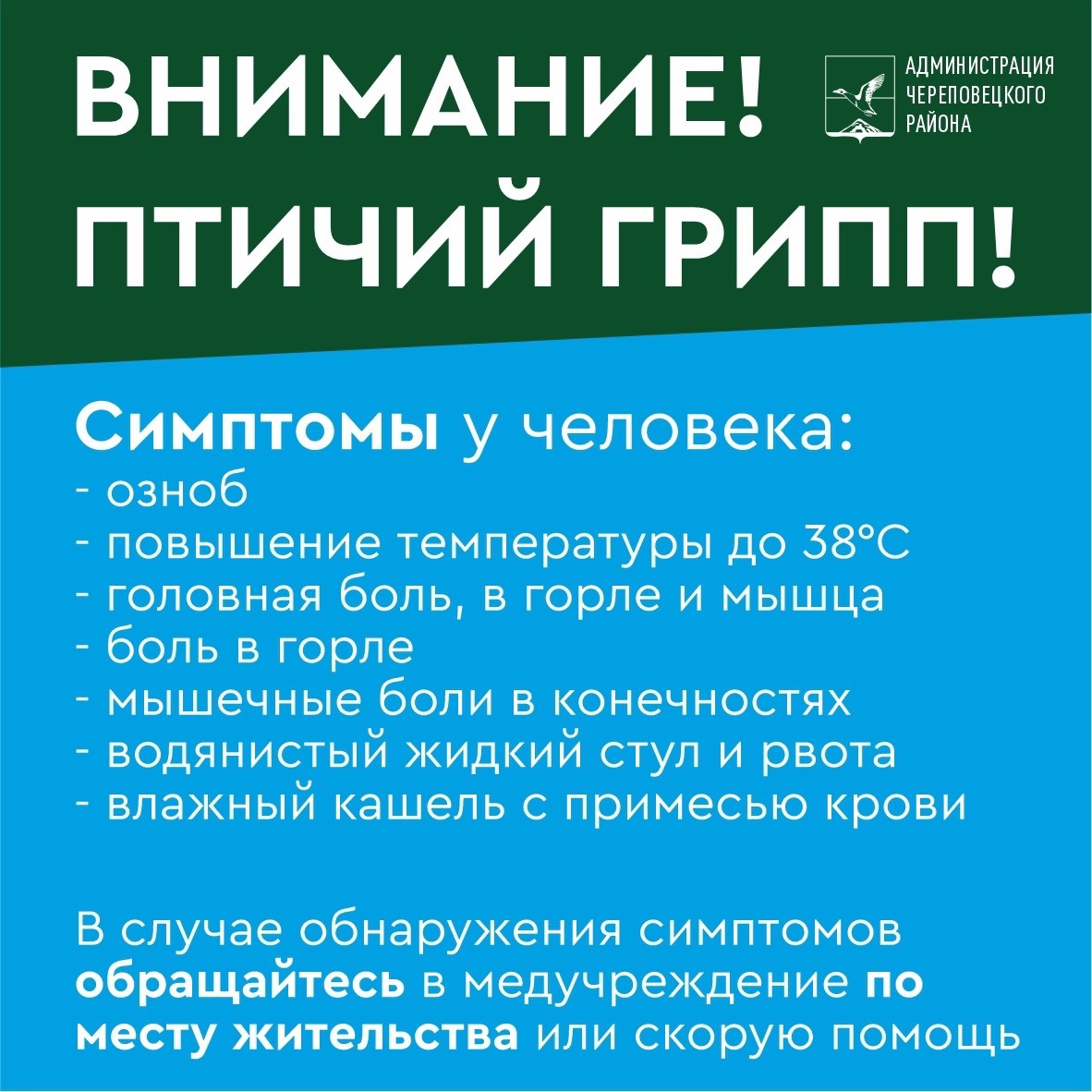 «Симптомы»