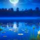 Белая Луна над лесным озером, вокруг растут синие лилии, летают бабочки и плещется рыба (2)