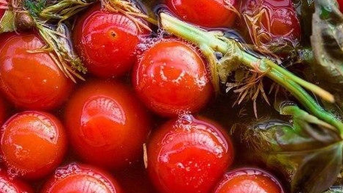 Квашеные помидоры: вкусная и полезная заготовка без уксуса - ГородЧе