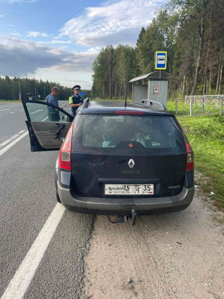 «Меган.»