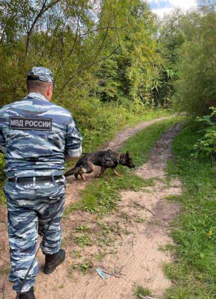 «Поиск»