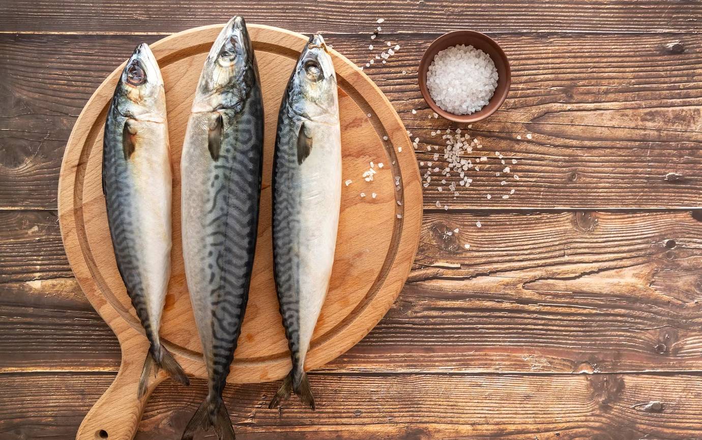 «скумбрия»