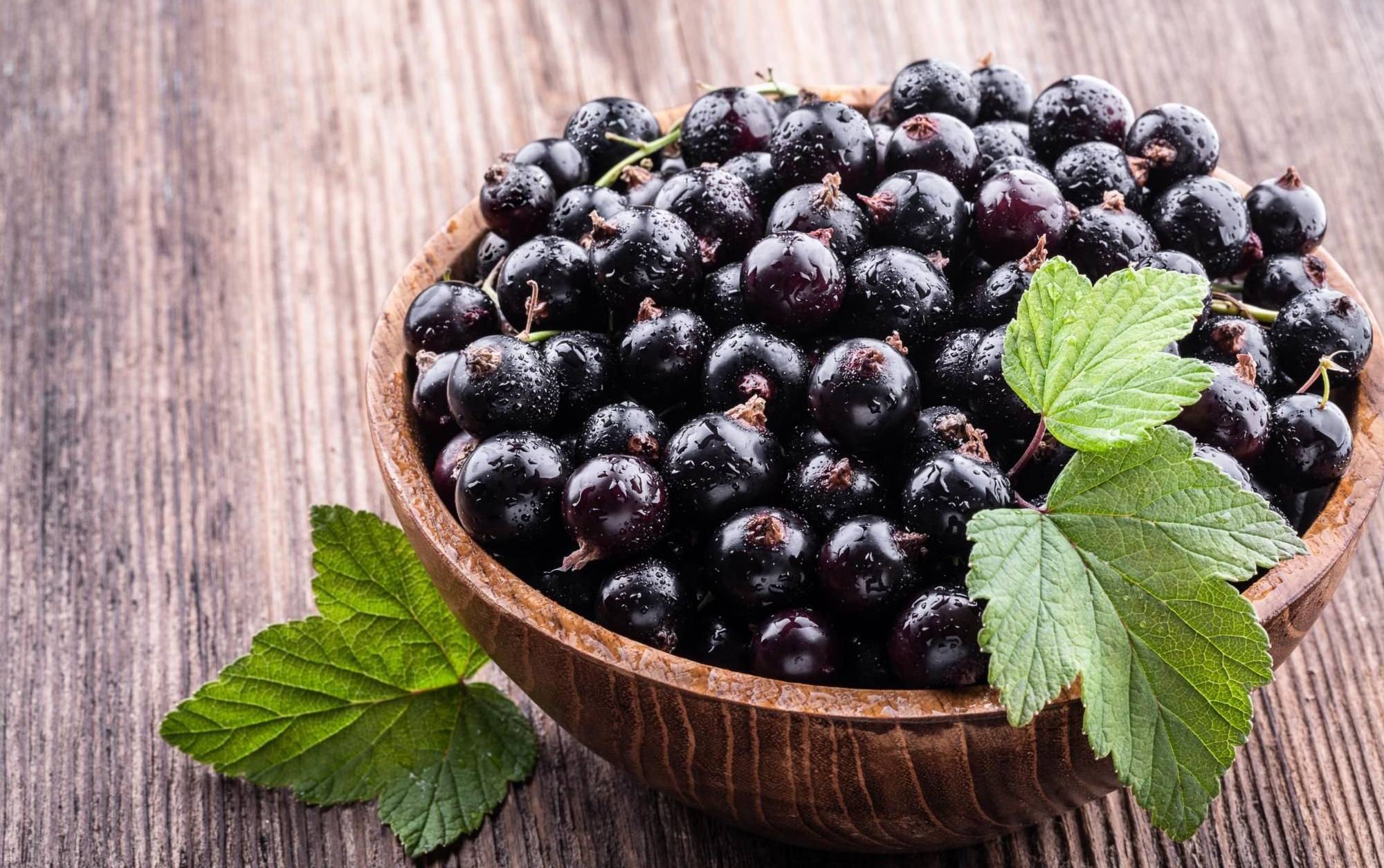 смородна (1)