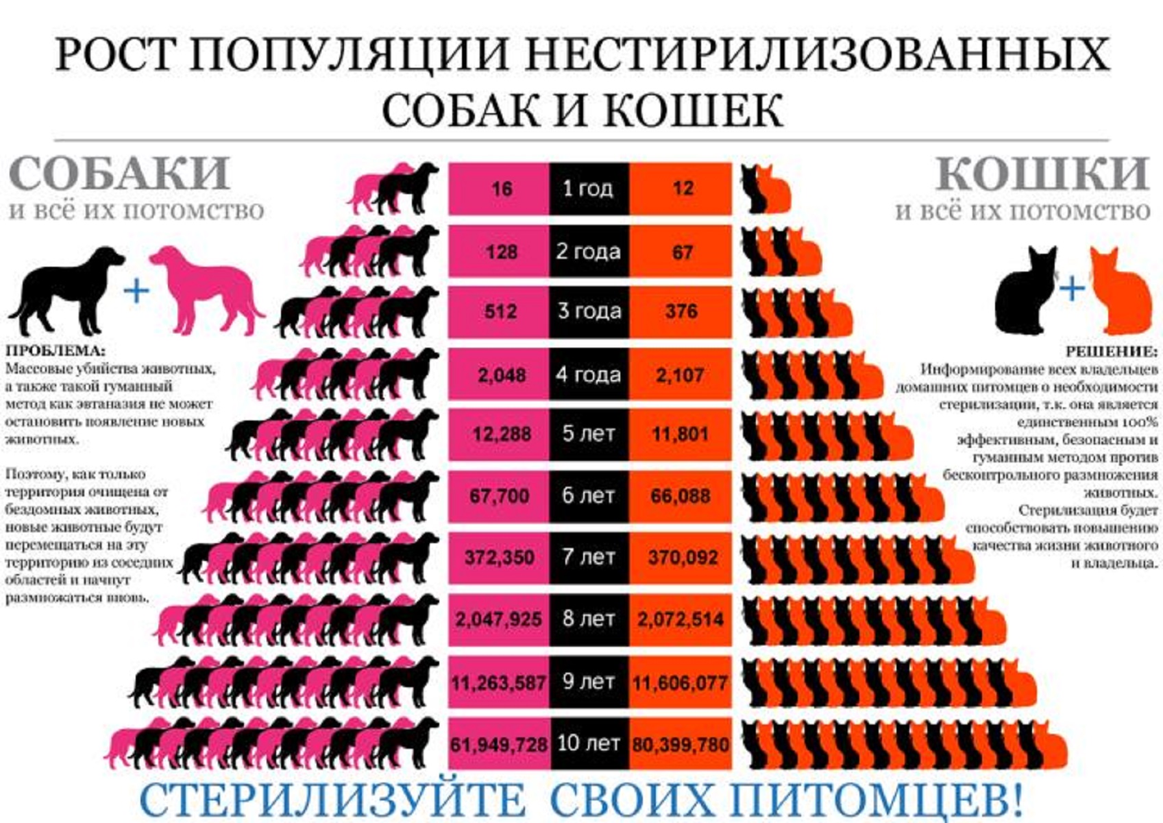 До скольки лет можно стерилизовать. Рост популяции нестерилизованных собак и кошек. Рост популяции бездомных кошек и собак. Рост популяции кошек. Важность стерилизации животных.