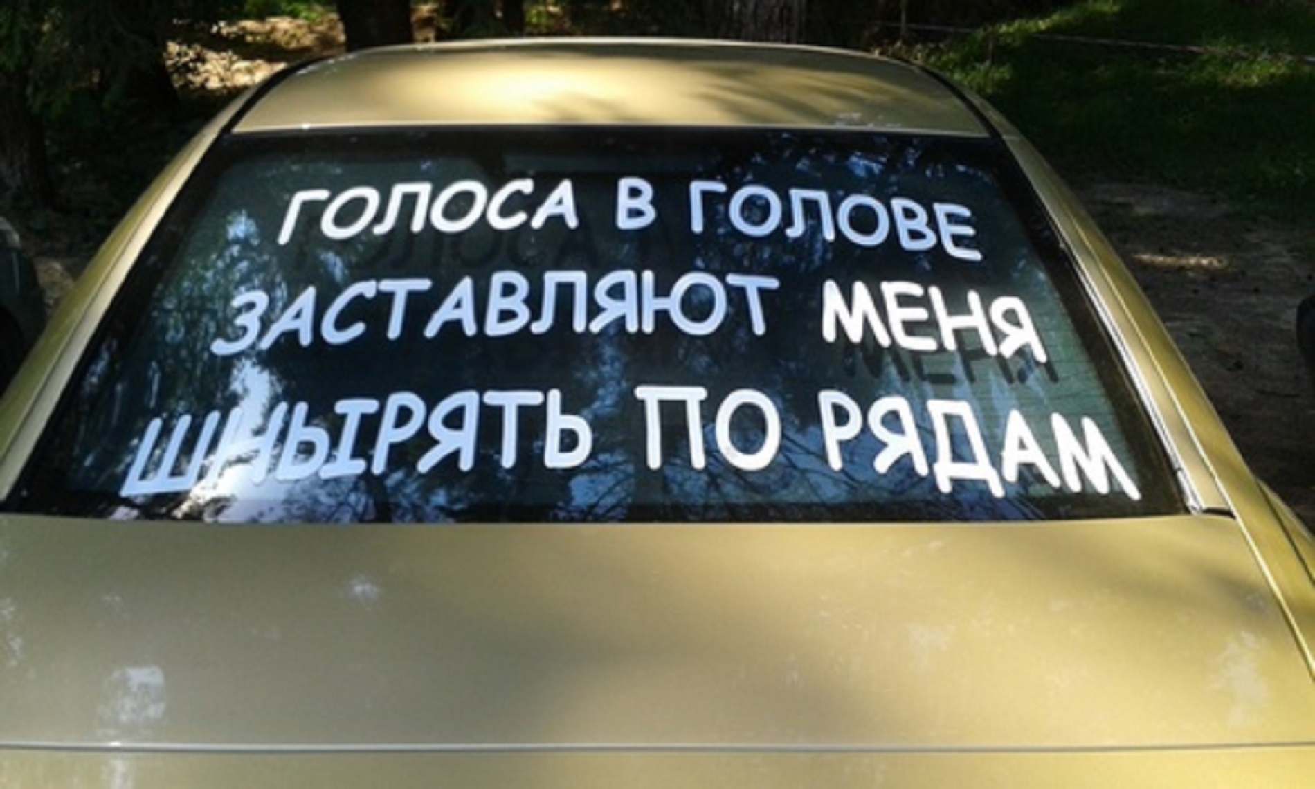 голоса в голове заставляют меня шнырять по рядам голоса в голове заставляют меня шнырять по рядам