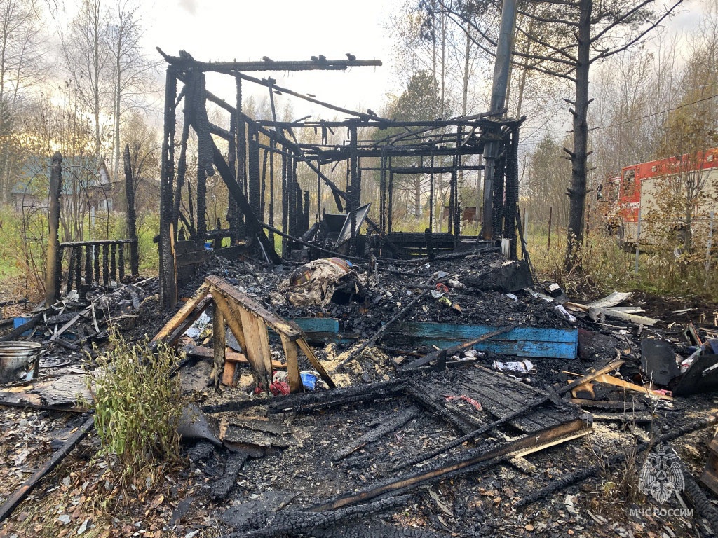 Место пожара в СНТ Аммофос-2 Место пожара в СНТ Аммофос-2