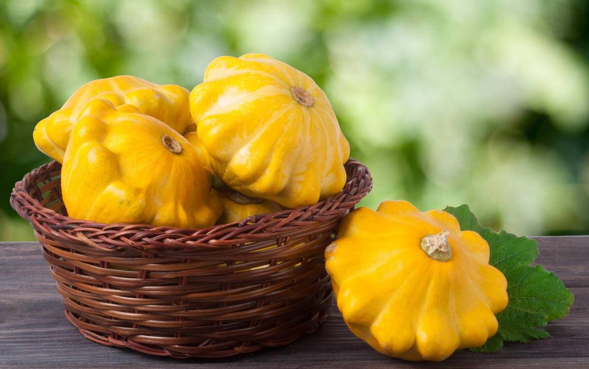 «патиссоны»