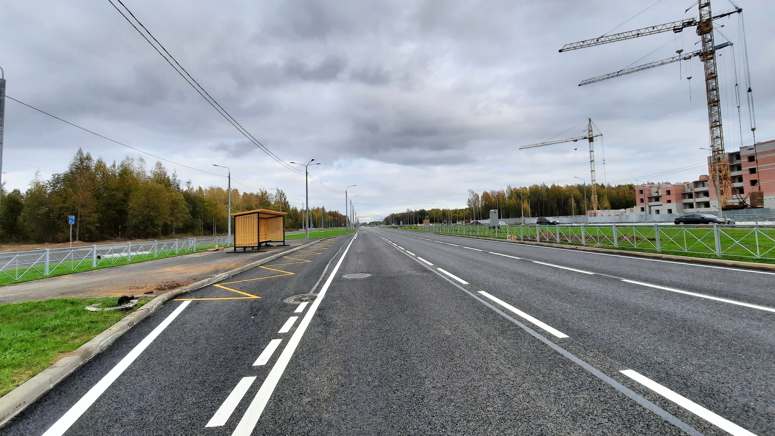 «Шекснинский