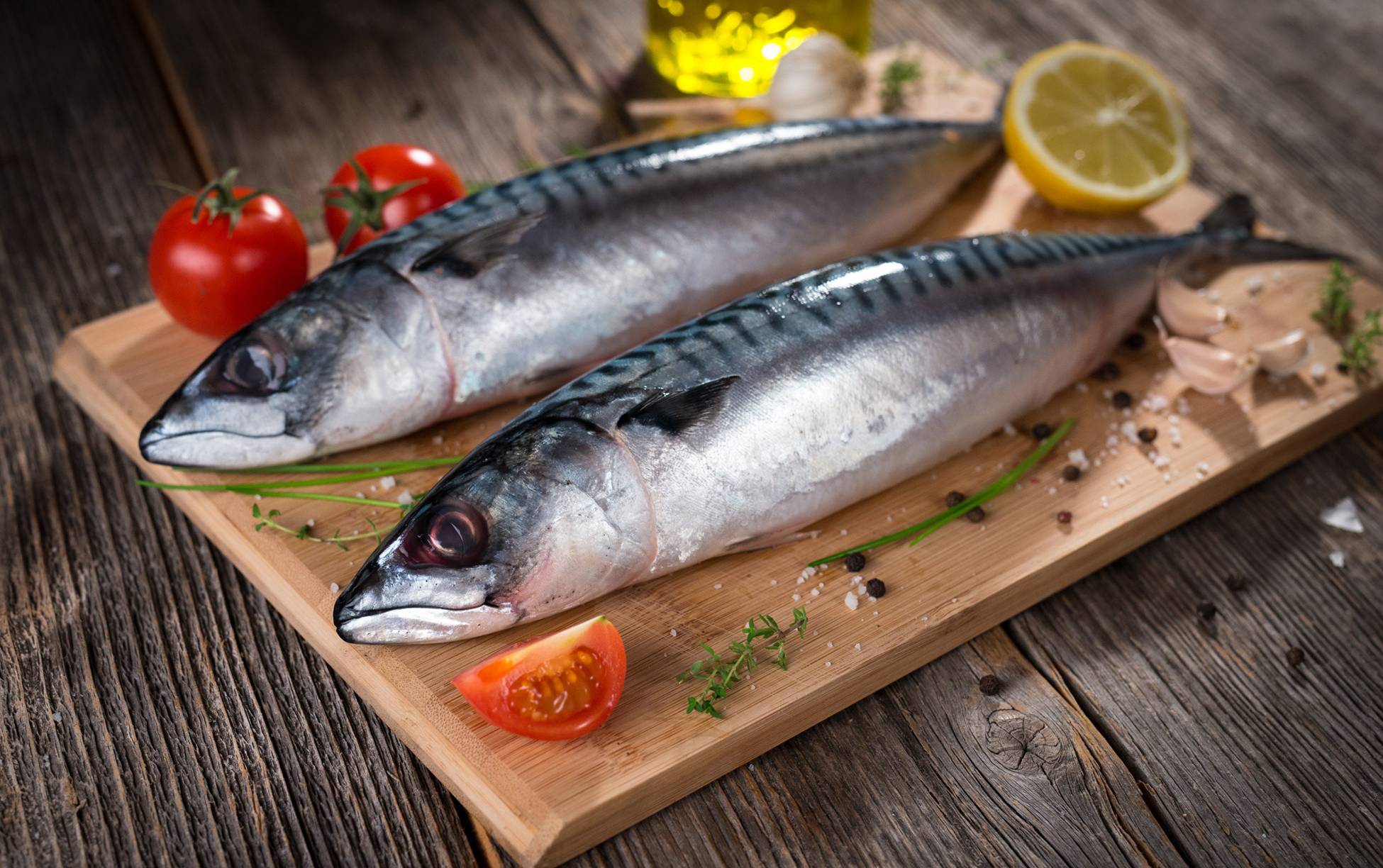 скумбрия1ё (1)