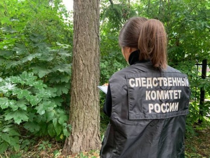 «Следователь