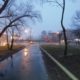 Снег с дождем пройдут почти всю следующую неделю