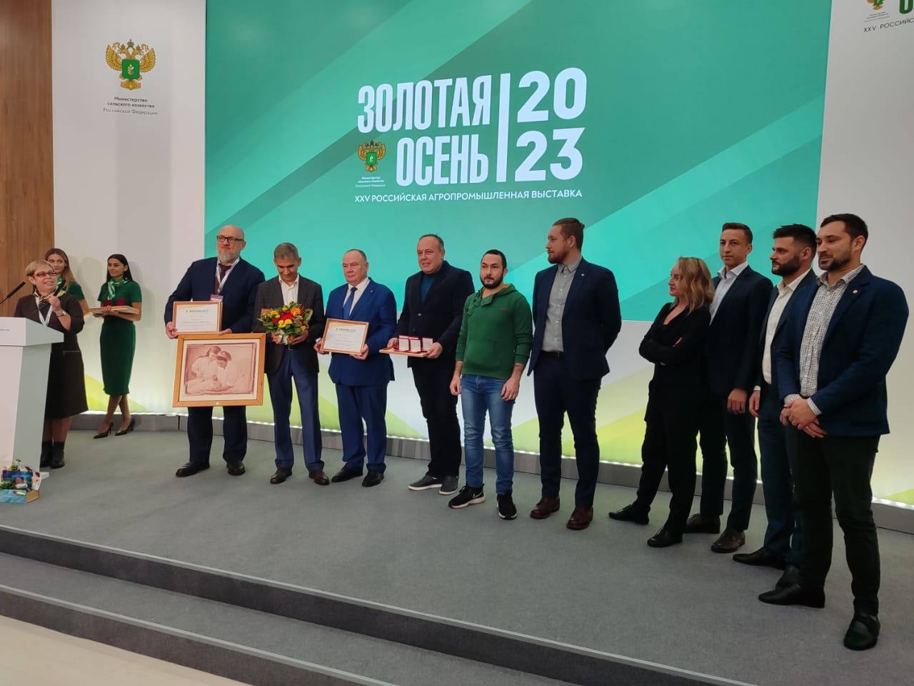 Золотая осень - вологжане Золотая осень - вологжане