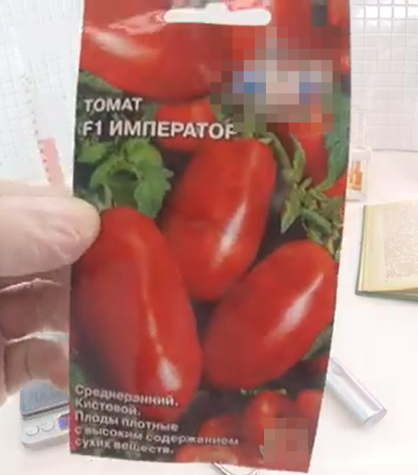 «томат»
