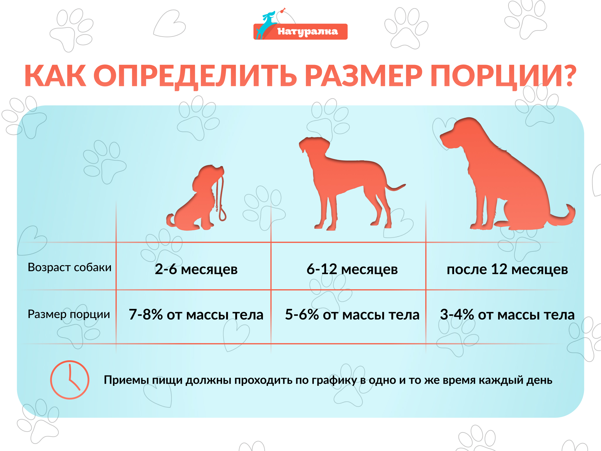 Как давать творог щенку. Чем нельзя кормить собаку. правильная натуралка для собак. сколько творога давать собаке по весу.