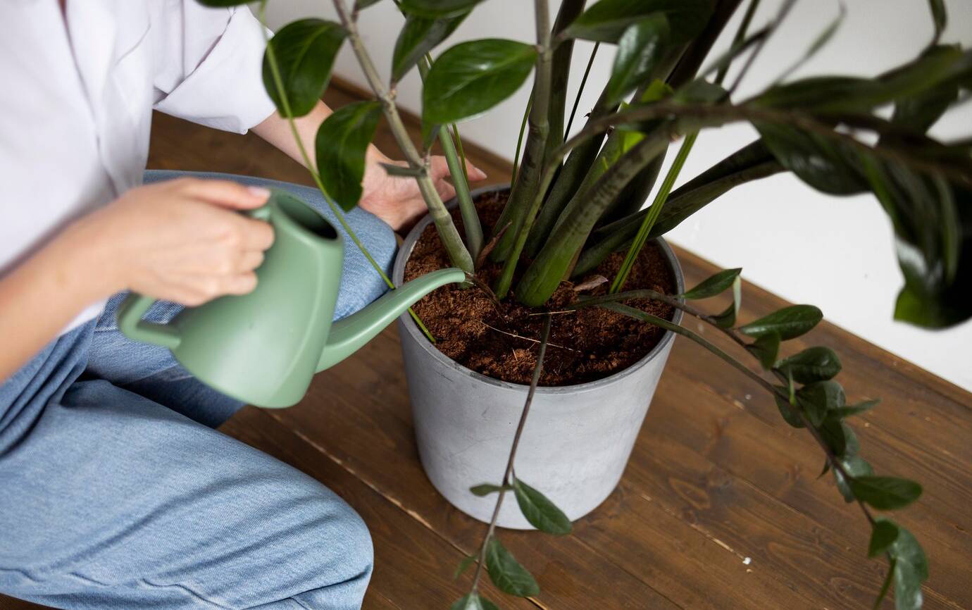 close-up-hand-holding-watering-can_23-2149042032
