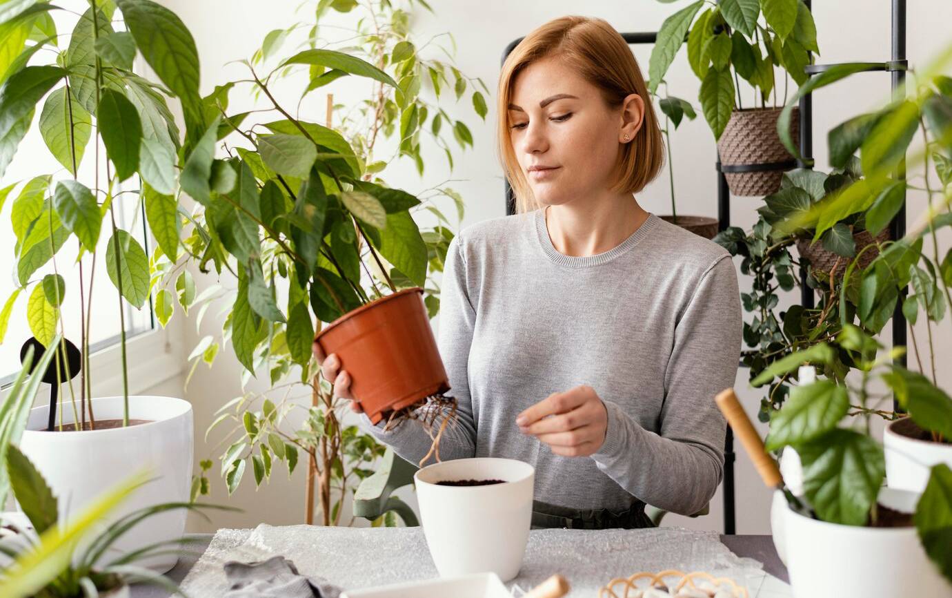 medium-shot-woman-holding-plant-pot_23-2148826075