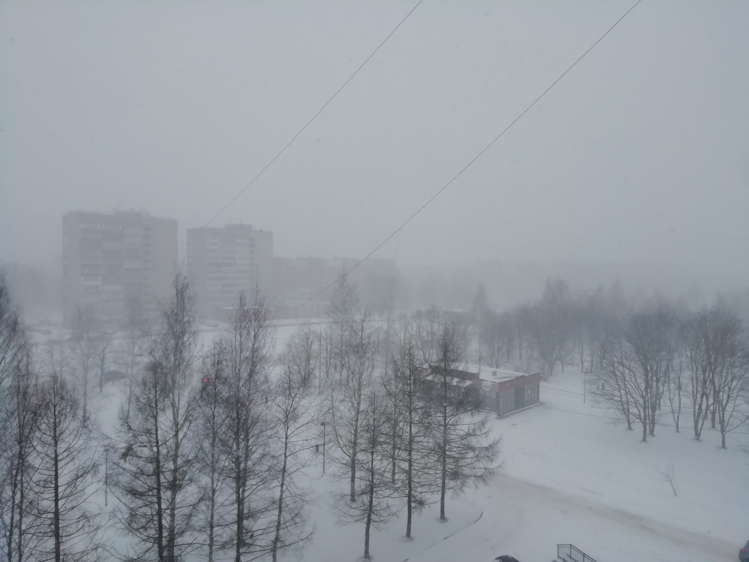 Метель Метель