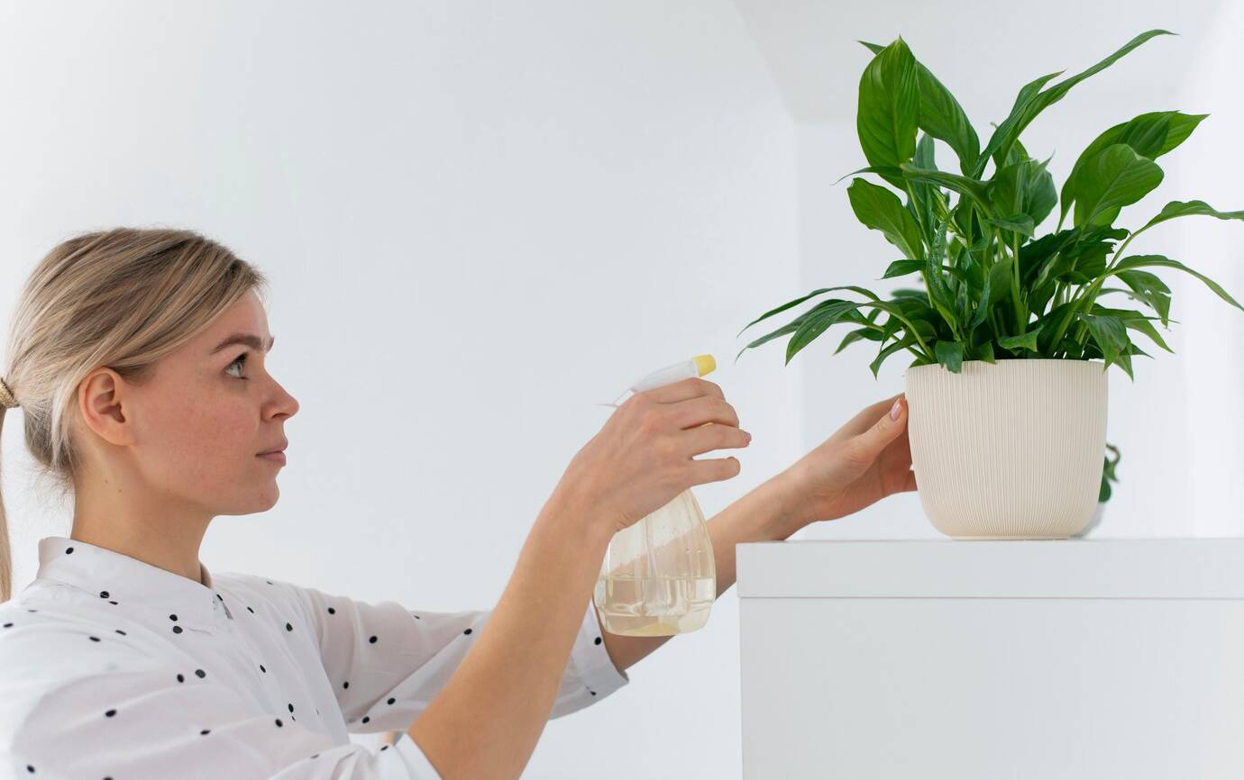 person-taking-care-of-office-cleaning_23-2149374401