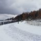 Снегопады ожидаются с утра