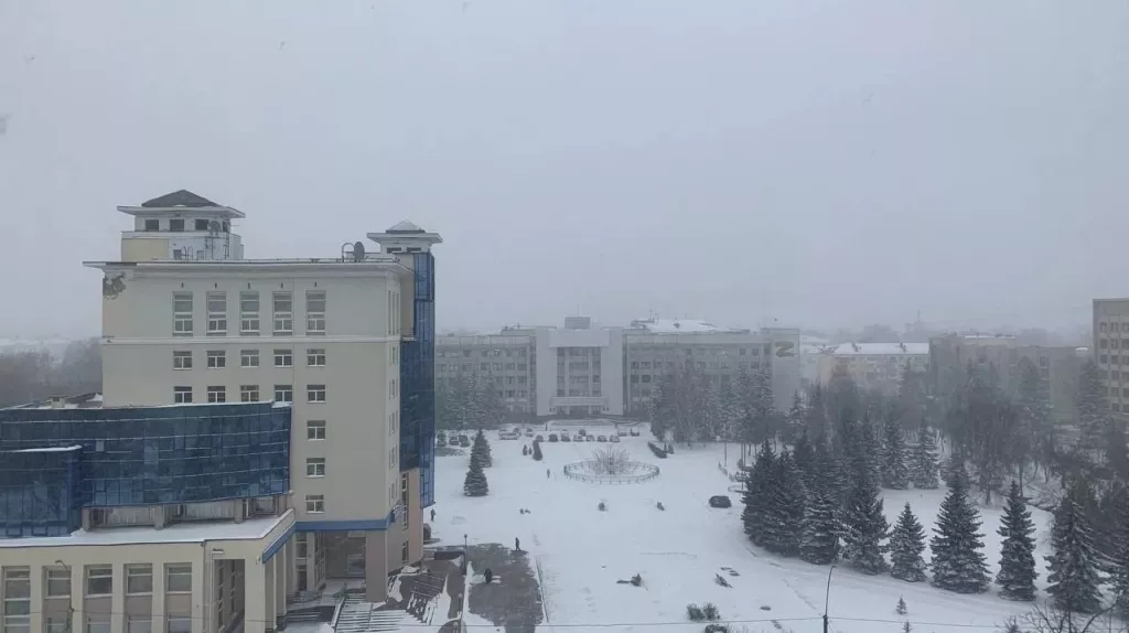 «Вид