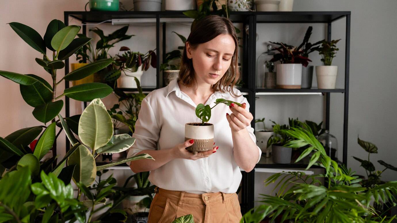 woman-growing-plants-at-home_23-2148928463