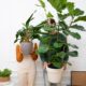 young-couple-moving-in-new-home_23-2149242146