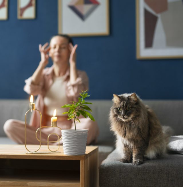 «Кошка»