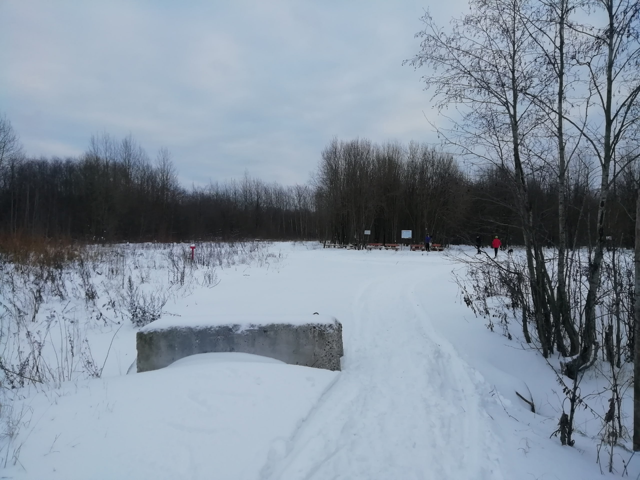 Лыжня здоровья в Череповце Лыжня здоровья в Череповце