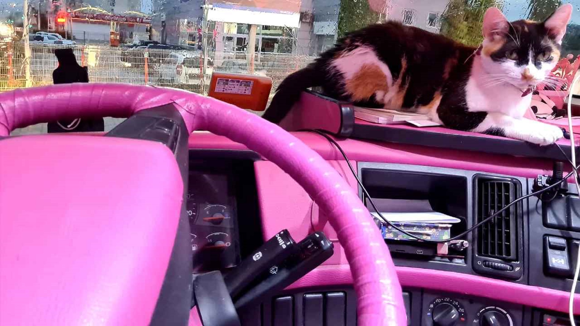 Румынская барби-дальнобойщица на розовом грузовике и ее Писи и Нороцеле в дороге - видео
