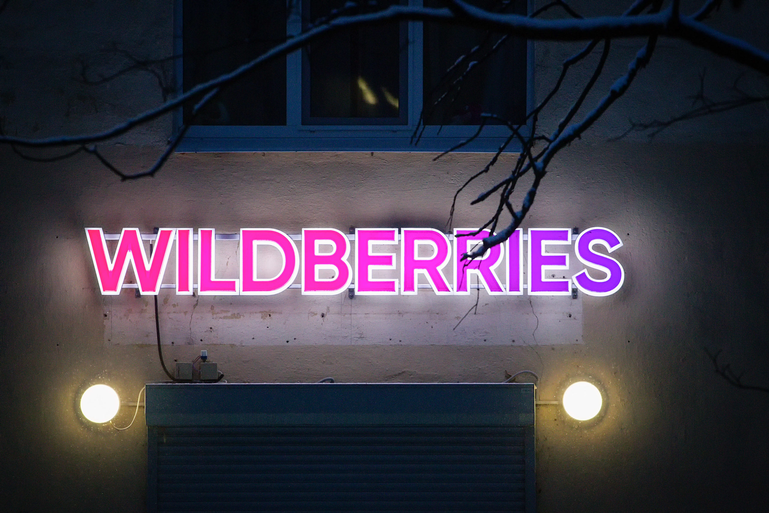 Wildberries Wildberries