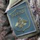 День ветеранов боевых действий учрежден впервые