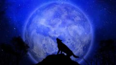 Что значит разными способами. Что значит разными способами. Способы толкования значения слова. Примеры на вычисление. Методы пришивания пуговиц на удачу.