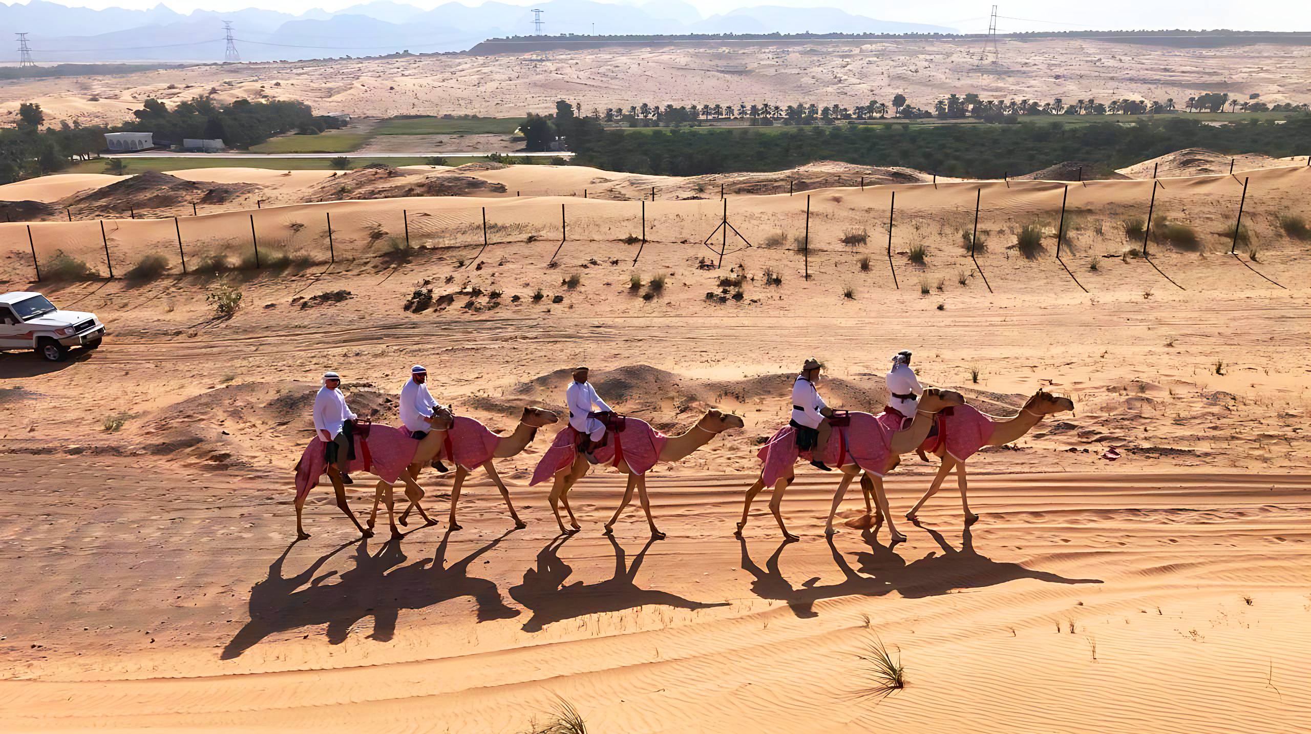 Конюхов за две недели пересечет на верблюдах Арабские Эмираты