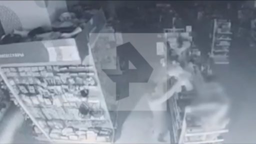 Подросток изнасиловал двух драконов в Петербурге — видео