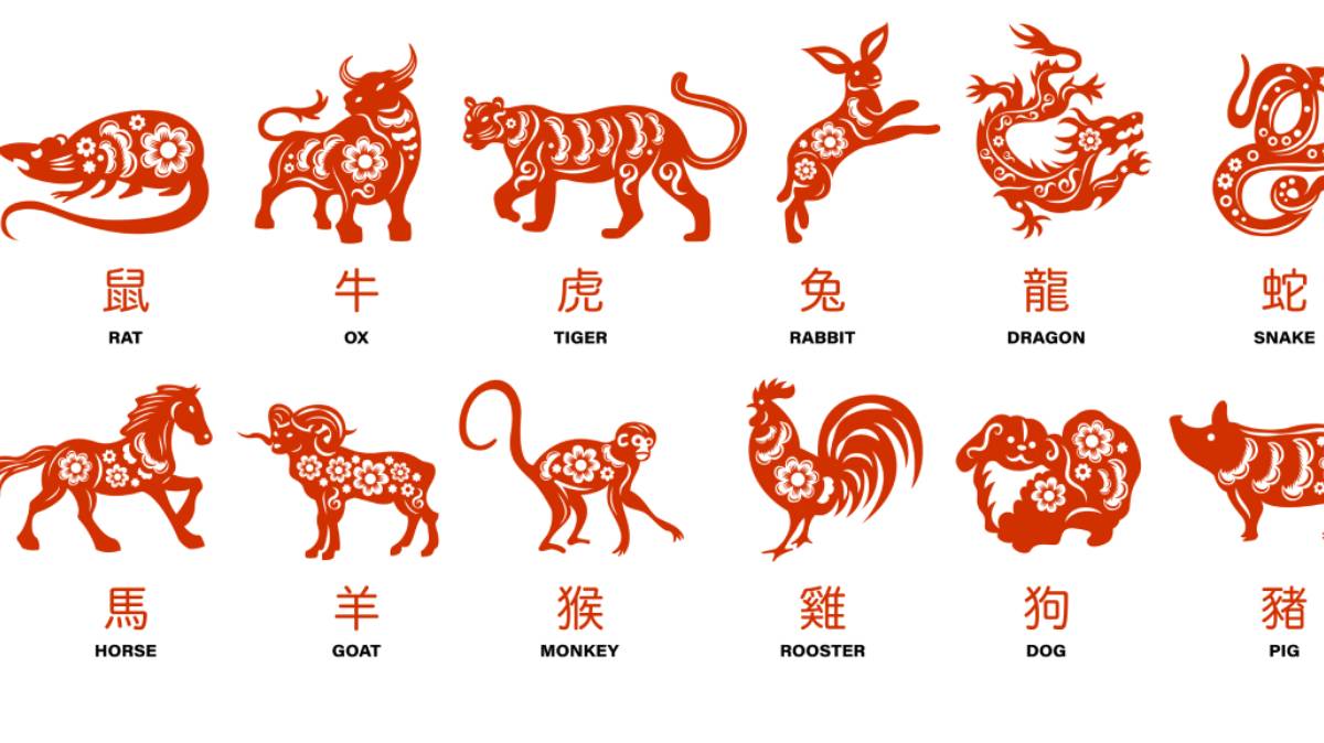 Гороскоп на 2024 год для стрижки. Животные китайского календаря. Китайские года животных. Китайский Зодиак животные. Тигр китайский Зодиак.