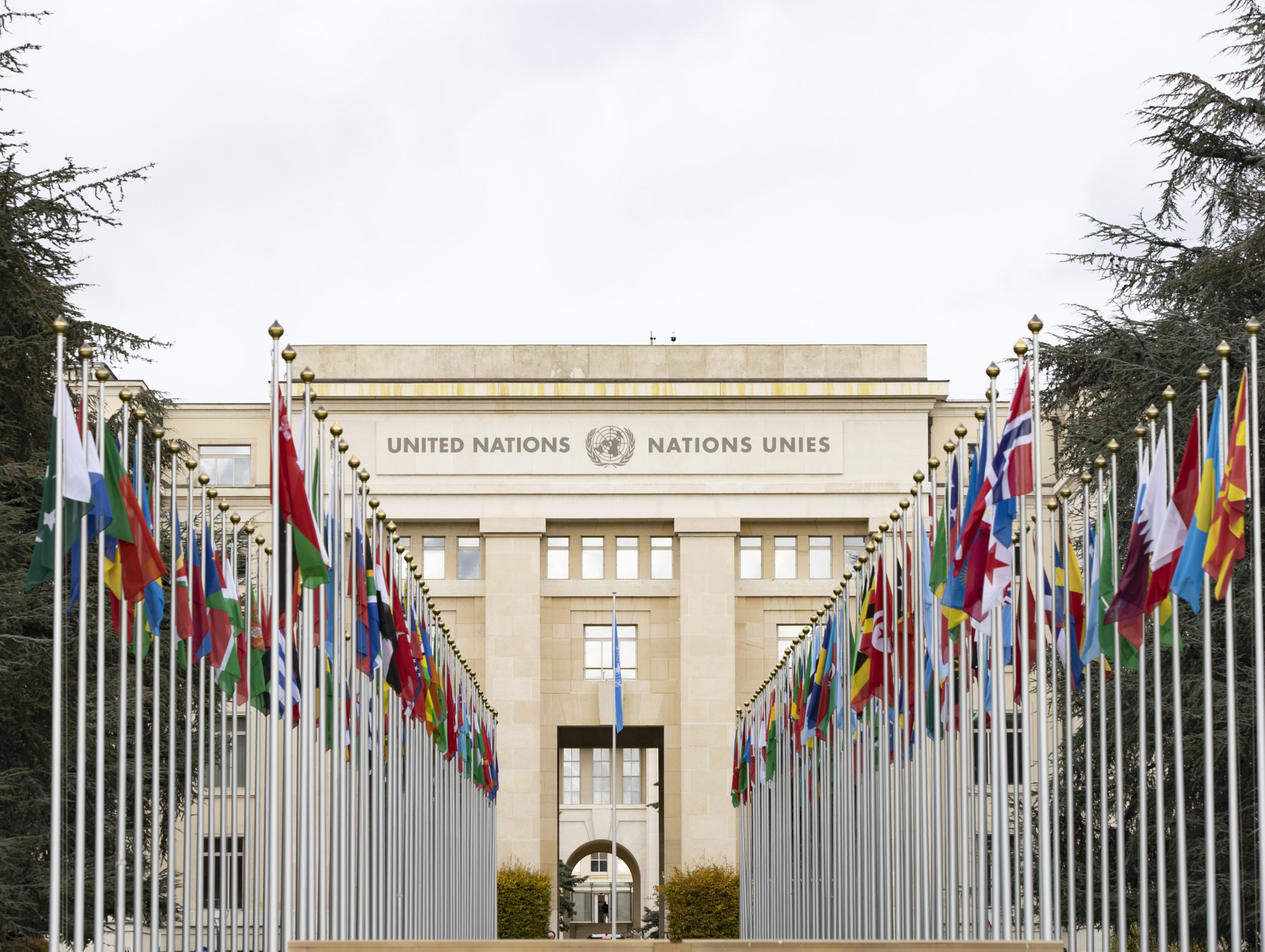Женева, Швейцария: флаги государств-членов у входной двери штаб-квартиры Организации Объединенных Наций в Женеве.
