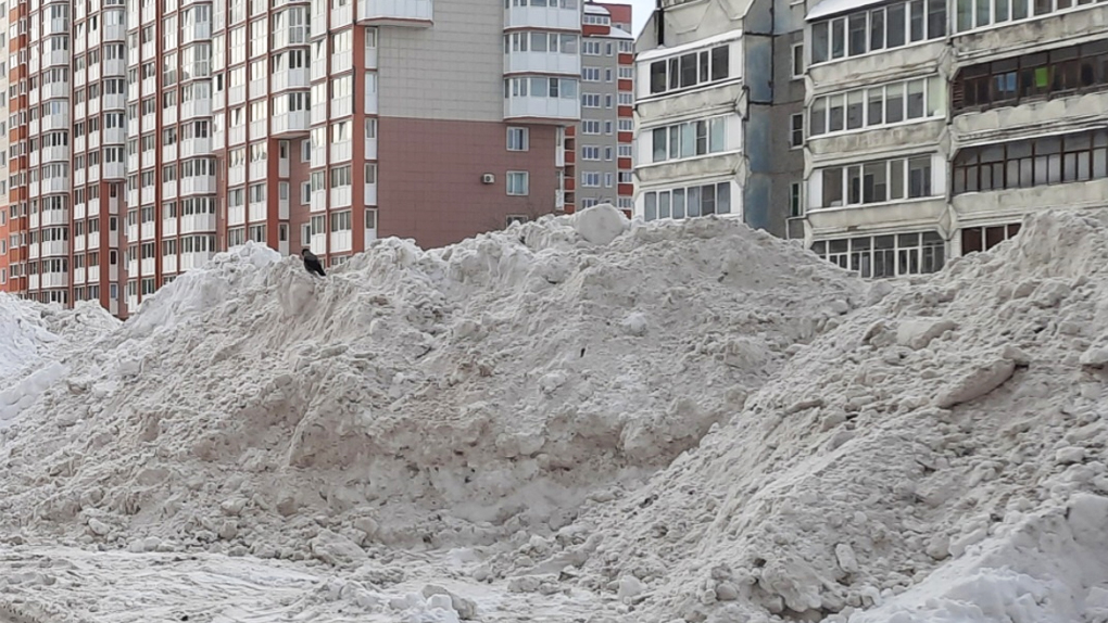 горы снега в Череповце горы снега в Череповце