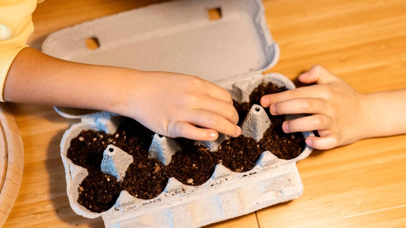 high-angle-of-children-planting-seeds-at-home_23-2148831331