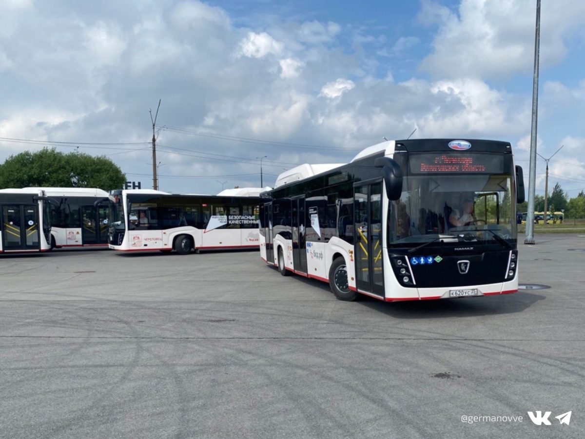 Автобусы Автобусы