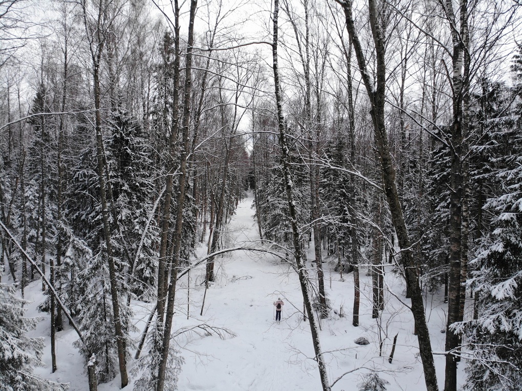 Лес рубили под Череповцом без всяких разрешений. Фото Город Че Лес рубили под Череповцом без всяких разрешений. Фото Город Че