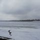Река Шексна