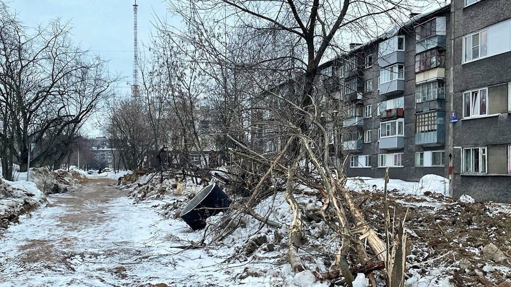 Сломанные яблони Сломанные яблони